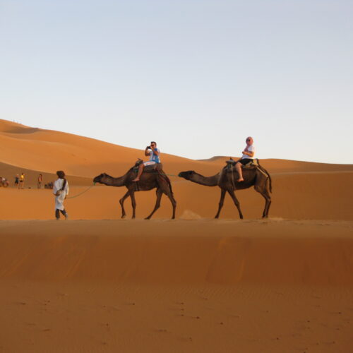 Camel Trek in Merzouga Dunes of Erg-Chebbi